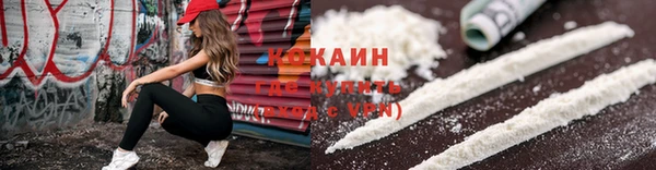 гашик Аркадак