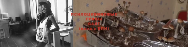 MESCALINE Арсеньев
