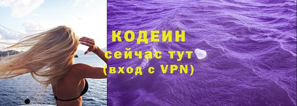 гашик Аркадак