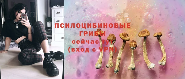 гашик Аркадак