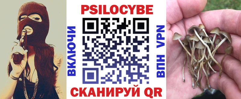 Галлюциногенные грибы Cubensis  Родники 